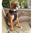 Solvit 62296 Pet Vehicle Safety Harness, Large