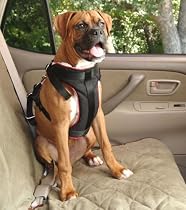 Solvit Large Pet Vehicle Safety Harness