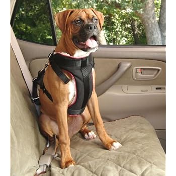 Set A Shopping Price Drop Alert For Solvit 62296 Pet Vehicle Safety Harness, Large