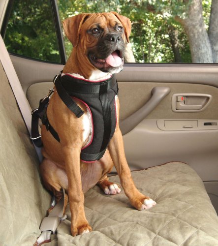 Solvit Large Pet Vehicle Safety Harness