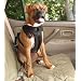 Solvit 62296 Pet Vehicle Safety Harness, Large