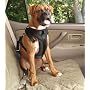 Solvit Large Pet Vehicle Safety Harness
