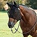 Cashel Quiet Ride Standard Fly Mask With Ears - All Sizes