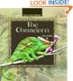 The Chameleon (Lizard Library)
