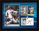 Spurs Dimitar Berbatov 16x12 Framed Player Profile Print, Tottenham Hotspur FC