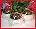 3x Premier Dead Sea Aromatic Mineral Body Salt Scrub NEW !