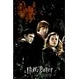 Harry Potter 6 (Trio, Half-Blood Prince) Movie Poster Print - 24" X 36"