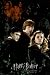 Harry Potter 6 Movie (Trio, Half-Blood Prince) Poster Print - 24