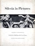 Silesia in Pictures. A Record of Remembrance