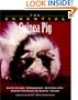 The Essential Guinea Pig (The Essential Guides)