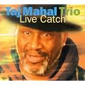 Live Catch