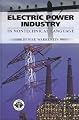 Electric Power Industry: In Nontechnical Language (PennWell non-technical series)
