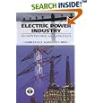 Electric Power Industry: In Nontechnical Language (PennWell Non-technical Series)
