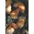 The Food of Italy: A Journey for Food Lovers (Food Of Series)