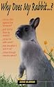 Why Does My Rabbit...?