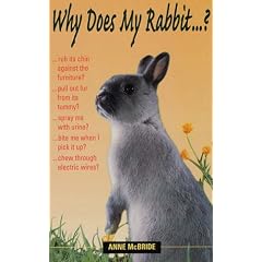 Why Does My Rabbit...?