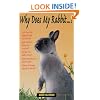 Why Does My Rabbit...?