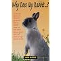 Why Does My Rabbit...?