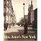 Enter the opulent world of Gilded Age New York