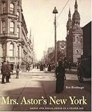 Mrs. Astor's New York: Money and Social Power in a Gilded Age reviews at GPS Review