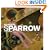 Sparrow: Glenn Barr (Art Books)