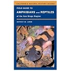 Field Guide to Amphibians and Reptiles of the San Diego Region (California Natural History... by  Jeffrey M. Lemm