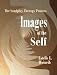 Images of the Self: The Sandplay Therapy Process (Sandplay Classics)