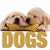 Dogs (Cube Books)