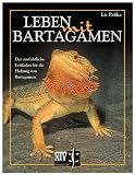 Leben mit Bartagamen.