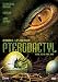 Pterodactyl