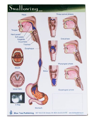 price Blue Tree Publishing Inc., 