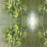 Photosynthesis