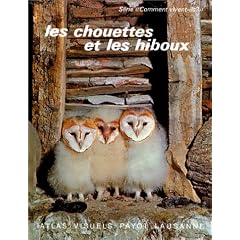 Les chouettes et les hiboux