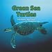 Green Sea Turtles