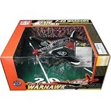 Oakland Raiders 2004 NFL Limited Edition Die-Cast 1:48 P-40 Warhawk Aircraft Collectible