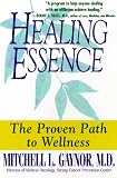 Healing Essence: A Cancer Doctor's Practical Program for Hope and Recovery