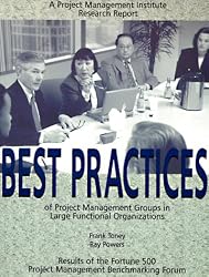 Best Practices of Project Management Groups in Large Functional Organizations