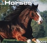 Horses (One with Nature)