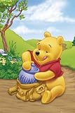 Posters: Winnie The Pooh Poster - Solo (36 X 24 Inches)