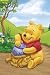 Posters: Winnie The Pooh Poster - Solo (36 X 24 Inches)