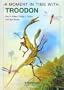 A Moment In Time With Troodon (A Moment In Time)