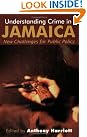 Understanding Crime in...