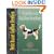 Petit Basset Griffon Vendeen (Petlove)