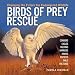 Birds of Prey Rescue: Changing the Future for Endangered Wildlife (Firefly Animal Rescue)