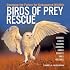Birds of Prey Rescue: Changing the Future for Endangered Wildlife (Firefly Animal Rescue)