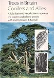 Trees in Britain. Conifers and allies