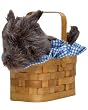 Dorothy Doggy-in-a-Basket Costume Purse - Goes great with any Wizard of Oz Theme!