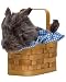 Dorothy Doggy-in-a-Basket Costume Purse - Goes great with any Wizard of Oz Theme!