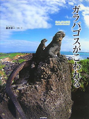ガラパゴスがこわれる