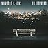 Wilder Mind